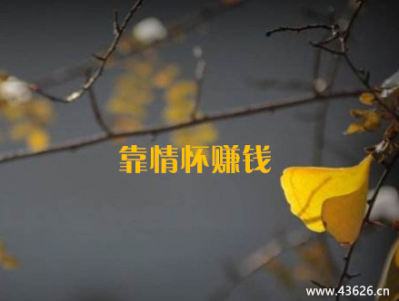 做网赚靠情怀赚钱不是那么容易的~