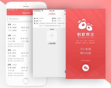 网上赚钱必做的项目：蚂蚁帮扶，单干就能赚到钱！