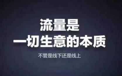 想要在网上赚钱,做流量重要还是会技术重要？