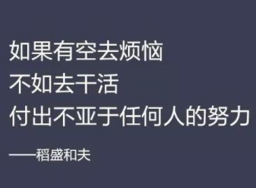 网上赚钱能力重要还是项目重要